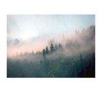 Papier Peint Panoramique Intissé Vert Foret 350x250 cm - Colle Inclus - Chambre et Salon - Moderne Papier Peint