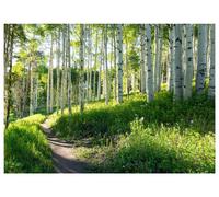 Papier Peint Panoramique Intissé Vert Foret 400x280 cm - Colle Inclus - Chambre et Salon - Moderne Papier Peint