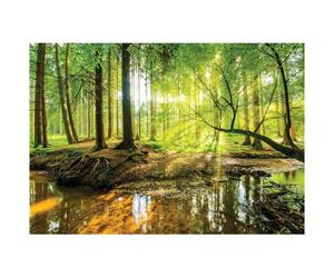 Papier Peint Panoramique Intissé Vert Foret 400x280 cm - Colle Inclus - Chambre et Salon - Moderne Papier Peint