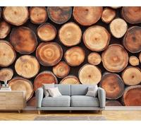 Papier Peint Panoramique Journaux 350x256 cm 3D Papier Peint Intissé Country Rétro Photo Trompe l'oeil Poster Geant Mural Salon Chambre Enfant Chambre Décoration Murale a-2941