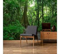 Papier Peint Panoramique Jungle Papier Peint Intissé Paysage Forest Poster Trompe l'oeil Mural 3D Art Décoration Murale Salon Chambre 150x105 cm 0922b