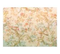 Papier peint panoramique Komar Oiseau de Paradis L.3.5 m x l.255 cm