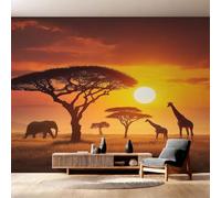 Papier Peint Panoramique la Faune de L'afrique Mural 150x105 cm 3D Papier Peint Intisse Paysage de Coucher de Soleil Fresque Murale Chambre Coucher Salon Décoration Photo Poster Geant Murale w.8547