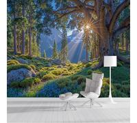 Papier Peint Panoramique La Lumière Du Soleil Filtrant À Travers La Forêt 400x280cm, Paysage Naturel Réaliste Papier Peint Soie Mural, Vert Poster Mural Impression 3D Pour Salon Chambre Décor Murale