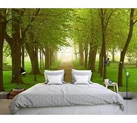 Papier Peint Panoramique La Route Verte Des Bois Papier Peint 3D Tapisserie Murale Décoration Chambre Salon -songqians-30605-350cmx250cm