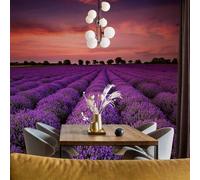 Papier Peint Panoramique Lavande 300x210 cm Papier Peint Intissé 3D Fleurs Violettes Muraux Tapisserie Photo Décoration Murale Poster Mural XXL pour Chambre Salon 1269-ABP