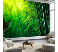 Papier Peint Panoramique Lumière Du Soleil Forêt de Bambous, Papier Peint Poster Mural Géant Paysage Naturel, Fresque Murale Moderne pour Salon Chambre d’Enfants Restaurant, 400 x 280 cm (L x H)