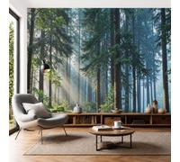 Papier Peint Panoramique Lumière et ombres naturelles en forêt 300x210cm | Mural La lumière du soleil filtrant à travers les arbres Décoration Murale,Salon Chambre Adulte Chambre D'Enfants Bureau