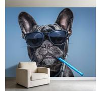 Papier Peint Panoramique Lunettes De Soleil Bouledogue Français Noir 350 x 256 cm Murale, Photographie Animalière Papier Peint Intissé Photo pour Bureau Salon Amateur De Chiens Décoration Murale