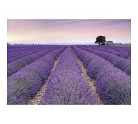 Papier Peint Panoramique Méditerranéen,naturel Provence