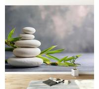 Papier Peint Panoramique Minimaliste Galets Plantes Feuilles, Poster Mural 350L x 256H cm Papier Peinture Murale Photographie Artistique pour Salon Chambre Chambre d'enfants Restaurant Décoration