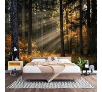Papier Peint Panoramique Murale ForêT EnsoleilléE D'Automne 450x315 cm Papier Peint Intissé Paysages Naturels Taille Personnalisée Grandes Poster Mural Photo Muraux pour Salon, Bureau, Décor Fond TV