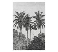 Papier Peint panoramique Palmiers Gravure 200 x 280cm Gris, Noir
