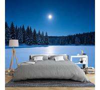 Papier Peint Panoramique Papier Peint Panoramique 3D Représentant Un Paysage De Forêt Hivernale Dans Une Chambre Avec Des Pins Enneigés Et Un Lac Motif Intissé Idéal Pour La Décoration Murale