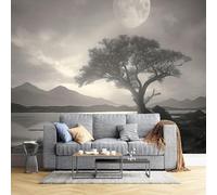 Papier Peint Panoramique Pays Vintage Fresque Murale Intissée 250 x 175 cm 3D Effet Lac Photo Papier Peint Poster pour Chambre Salon Décoration Murale F148