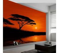 Papier Peint Panoramique Paysage D'Un Arbre D'Albizia Au Coucher Du Soleil 200 x 140 cm Papier Peint 3D, Photo Mural Pour Salon Salle à Manger, Chambre d'Enfant Décoration Murale, Couleur Orange