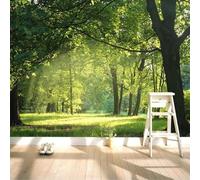 Papier Peint Panoramique Paysage Forestier 250x175 cm 3D Papier Peint Intissé Arbre Vert Photo Trompe l'oeil Poster Grand Mural Salon Chambre Enfant Chambre Décoration Murale a-9347