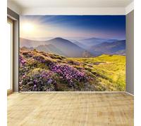 Papier Peint Panoramique Paysage Naturel Mural 350x256 cm 3D Papier Peint Intisse Coucher de Soleil Sur Les Montagnes Fresque Murale Chambre Coucher Salon Décoration Photo Poster Geant Murale q.8035