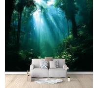 Papier Peint Panoramique Paysage Naturel, Murale Pour Salon Chambre D'Enfant Décoration Murale Forêt Mystique Ruisseau Ensoleillé Chambre à Coucher Maison Décoration Intérieure 500 x 280 cm