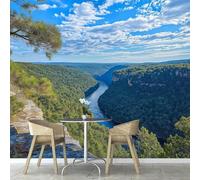 Papier Peint Panoramique Paysage Vert Papier Peint Intissé Forêt Poster Trompe l'oeil Mural 3D Art Décoration Murale Salon Chambre 250x175 cm 1796b