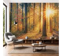Papier Peint Panoramique Paysages naturels d'automne 400x280cm (LxH) | Poster Géant Mural Lumière et ombre de la forêt Décoration - Murale Intissé Pour Salon, Chambre, Toile Fond TV Orange-rouge
