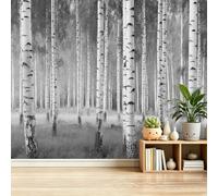 Papier Peint Panoramique Paysages Naturels Poster Mural, Forêt De Bouleaux Photographie Papier Peint Intissé Décoration pour Salon Chambre Restaurant Enfants, 400 x 280 cm Gris Moderne Murale