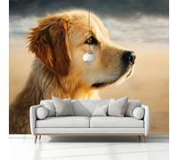 Papier Peint Panoramique Peinture À L'Huile Animal Golden Retriever Marron Clair, 3D Papier Peint Intissé 200x140 cm Photo Poster Grand Mural Pour Salon Chambre Enfant Chambre Décoration Murale