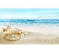 Papier Peint Panoramique Perles De Coquillages De Plage De La Mer 350x250cm Papier Peint 3D Intissé Tapisserie Poster Chambre Salon Decoration Murale -MIWEI Wallpaper-ZXY-11697
