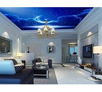 Papier Peint Panoramique Plafond Suspendu Cosmique Papier Peint 3D Tapisserie Murale Décoration Chambre Salon -songqians-00017-400cmx280cm