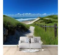Papier Peint Panoramique Plage Dunes Chemin Côtier 300 x 210 cm Papier Peint Photo Intissé, Photographie De La Nature Fresque Murale Tapisserie Décoration, pour Cuisine Salon Chambre à Coucher