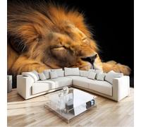 Papier peint Panoramique pour Enfant 400 x 280 cm - Photo Murale Lion endormi Animal - Revêtement Mural Décoratif - Décoration pour Salon Chambre Cuisine Salle de Bain Ado