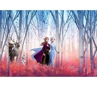 Papier peint panoramique sur papier de Komar - Disney Frozen Friends forever - Taille: 368 x 254 cm