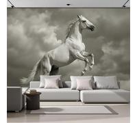 Papier Peint Panoramique Un Cheval Blanc Bondissant 350 x 256cm - Décoration Murale Dans Le Ciel Du Désert - Murales Papier Peint Soie pour Chambre Salon - Moderne Poster Tableaux Photo Muraux