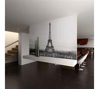 Papier peint Paris : photographie en noir et blanc-Taille L 250 x H 193 cm Imprimé G