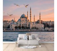 Papier Peint Paysage D'Istanbul 250x175 cm Papier Peint Panoramique Effet 3D, Peinture Murale intissé Grande, pour Moderne Salon Chambre TV Fond