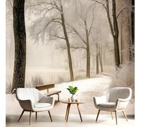 Papier peint photo 3D Forêt d'hiver, fresque murale paysage lacustre pour chambre, papier peint beige, décoration murale, fresque murale pour bureau, papier peint photo pour chambre d'enfant, décorati