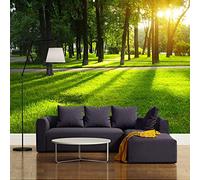 Papier Peint Photo Autocollant 3D Parc Nature Paysage Soleil Bois Mur Photo Décoration Murale Papier Peint Art Autocollants Affiches Géantes Photo Pour Chambres Salon Bureau Salle À Ma 140(L)x70(H)cm