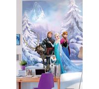 Papier Peint Photo Chambre Disney FROZEN 100x72 En BLEU Mural Elsa Anna