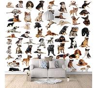 Papier Peint Photo chien Grande Fresque Murale 3D Peinture Murale, Étude De Fond De Salon Décoration D'Intérieur 300cm×210cm(LxH)