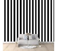 Papier Peint Photo INTISSÉ 250 x 175 cm Poster Géant Rayures Verticales Rétro Simples Décoration, Noir Blanc Papier Peint Panoramique 3D Décoration Murale