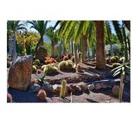 Papier Peint Photo INTISSÉ-JARDIN DE CACTUS II-215177)-400x260cm-8 lés-Mural Poster Géant XXL-Panorama-Plantae Plantes du désert