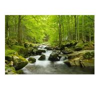 Papier Peint Photo Murale INTISSÈ (60LJ) CASCADE-300x223cm-Tapisserie Fond d’Ècran Affiche Poster Geant Panneau Foret Rivière XXL