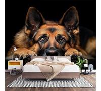 Papier Peint Photo Panoramique 3D Animal Berger Allemand Poster Papier Peint Intissé noir, Tapisserie Panoramique Salon, Décoration Mural Bureau Enfants Chambre 250x175 cm