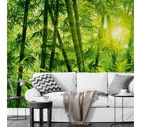 Papier Peint Photo Vert BAMBOO JUNGLE Forêt Murale 366x254cm Nature Botanique