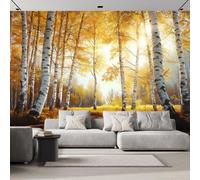 Papier Peint Photo Wallpaper Mural,3D Panoramique Murale Forêt Bouleaux D'Automne Feuilles Jaunes Tombées, Papier Peint soie 350×256cm, pour Salon, Chambre Enfant Décoration Murale