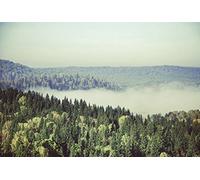 Papier Peint poster panoramique FORET CANADIENNE 4 x 2,70 m | Déco et photo murale XXL Qualité HD Scenolia