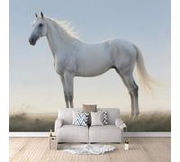 Papier Peint Prairie Du Cheval Blanc 500x280 cm Papier Peint Panoramique Effet 3D, Peinture Murale intissé Grande, pour Moderne Salon Chambre TV Fond