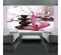 Papier peint Relaxation and Wellness 2-Taille L 450 x H 270 cm