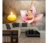 Papier peint Romantic evening-Taille L 350 x H 245 cm