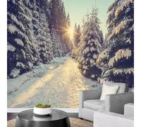 Papier Peint Scène Hivernale Enneigée，400x280cm Paysage Forestier Murales Poster pour le salon ou la chambre à coucher